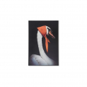 Декоративная картина FP Hermes Swan 50-70