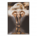 Декоративная картина FP Elephant 80-120
