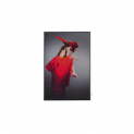 Декоративная картина FP Red Hat 50-70